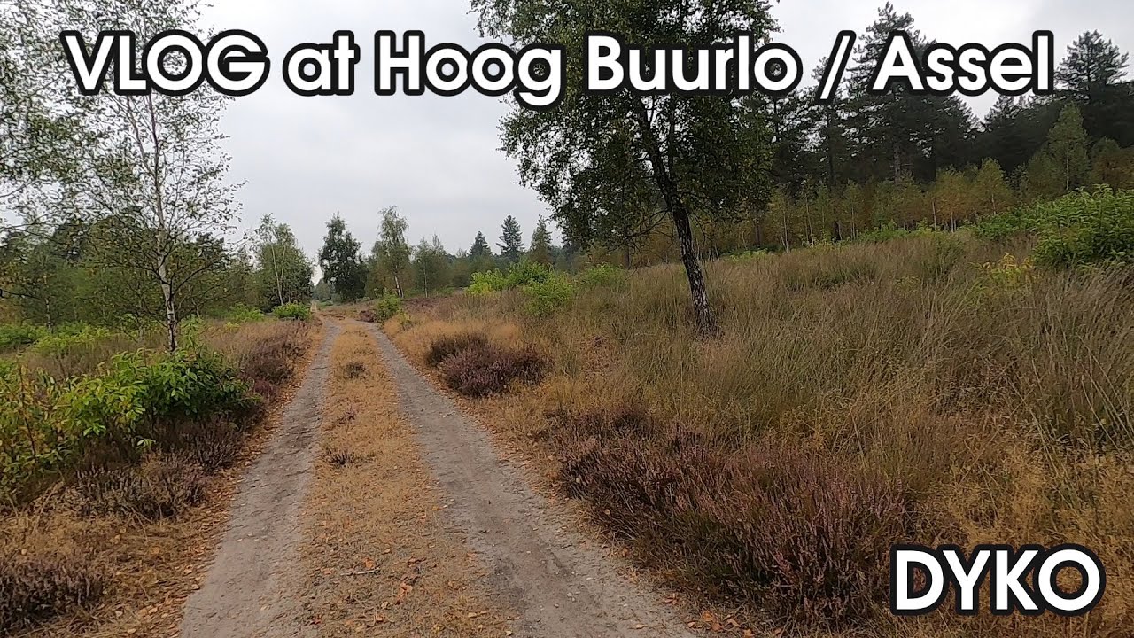 Vlog at Hoog Buurlo / Assel