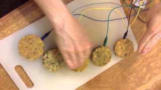 Veggie Burgers Piano with MaKey MaKey- When the Saints Go Marching In