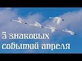 5 знаковых событий апреля