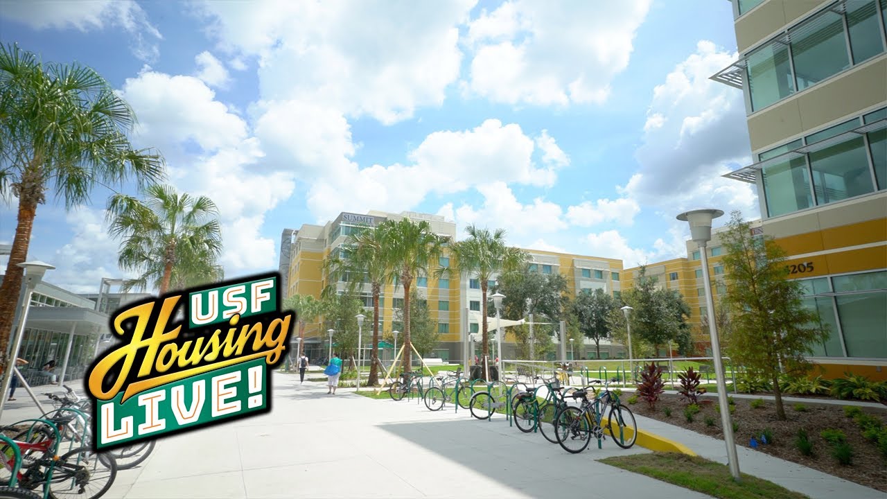 Explore the Village USF Housing LIVE! 502 YouTube
