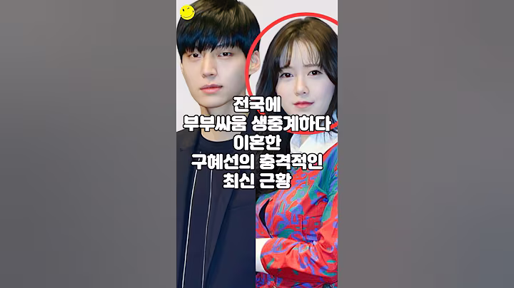 전국에 부부싸움 생중계하다 이혼한 구혜선의 충격적인 최신 근황