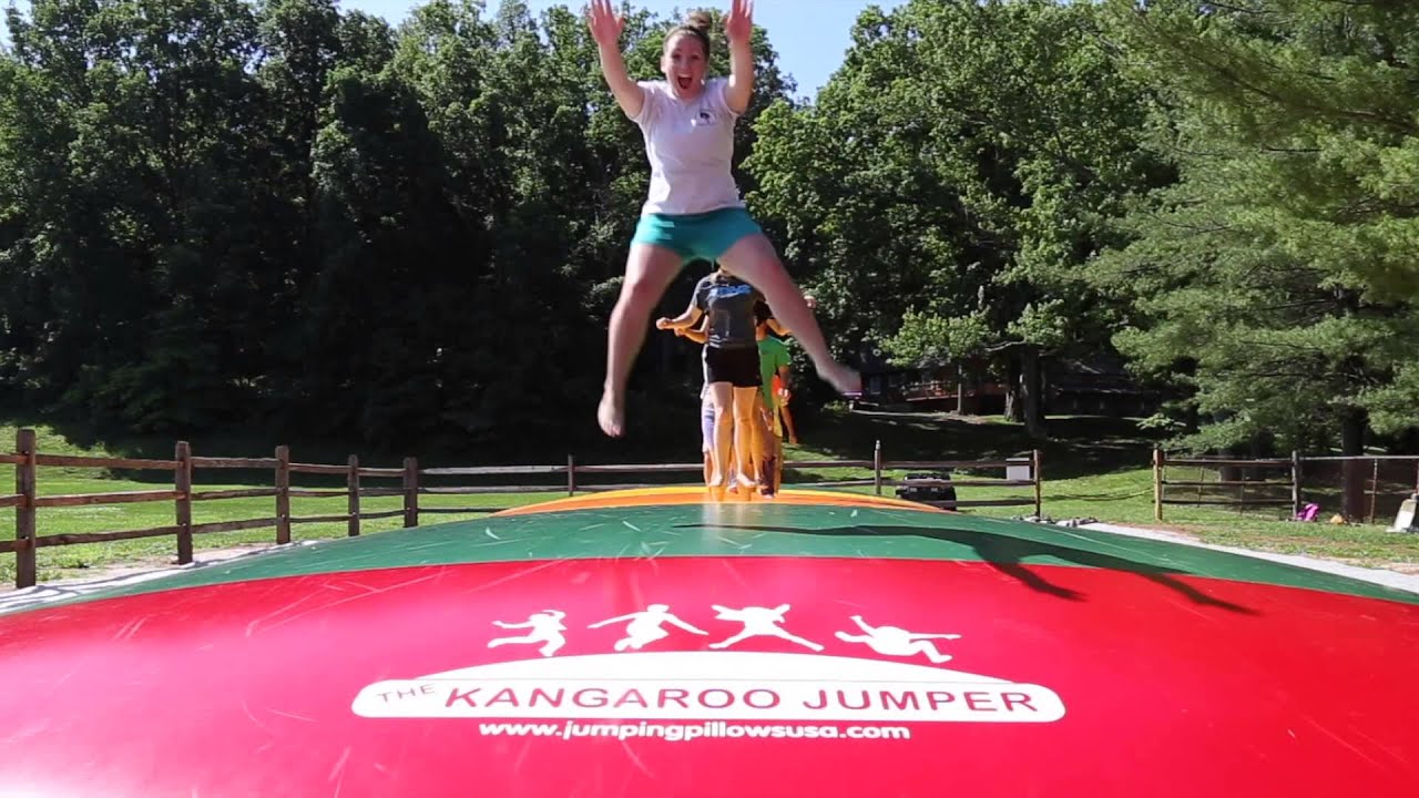 Kangaroo Jumper at High Point Camp