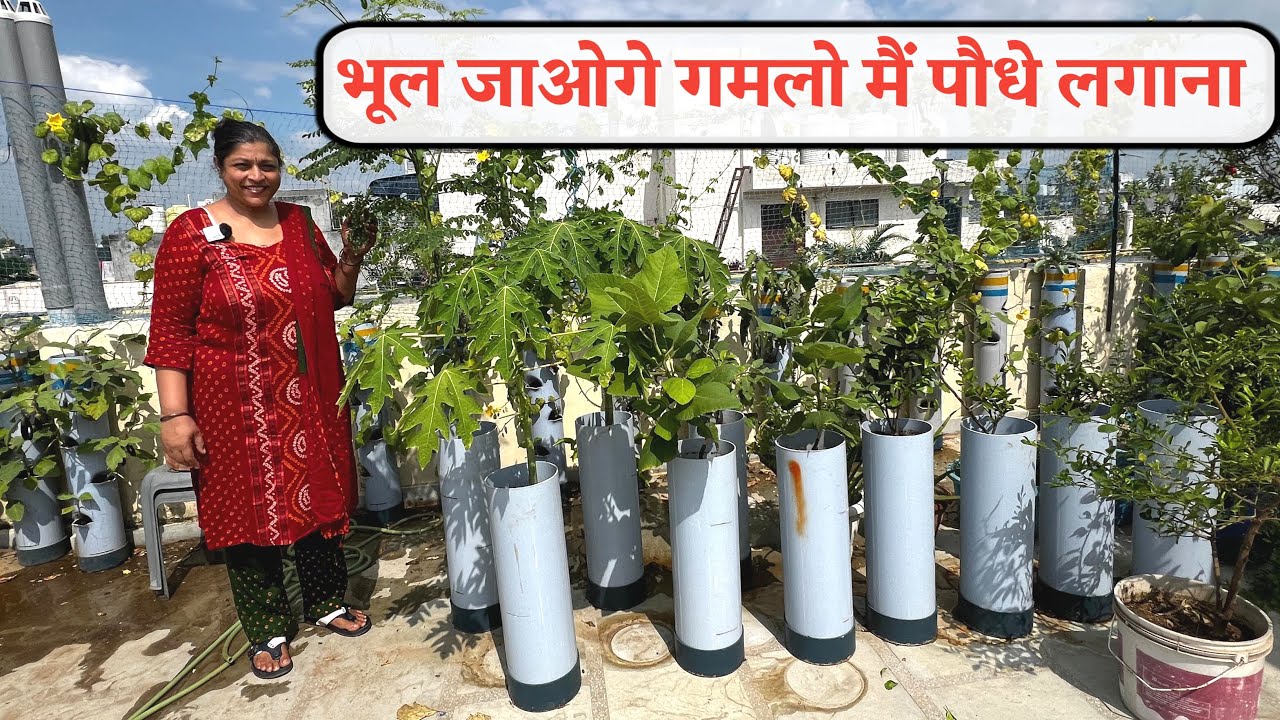 खेत नहीं मिला तो PVC PIPE में खेत जितनी सब्जी उगा रही हूं भूल जाओ गे गमलो मैं पौधे लगाना