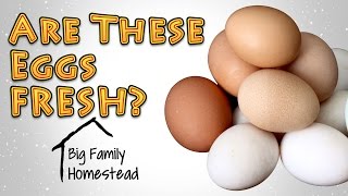 How to Tell If Eggs Are Bad How to Tell If Eggs Are Bad