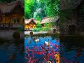 #newsupdate #2025 #shortvideo #shorts#duckswimming