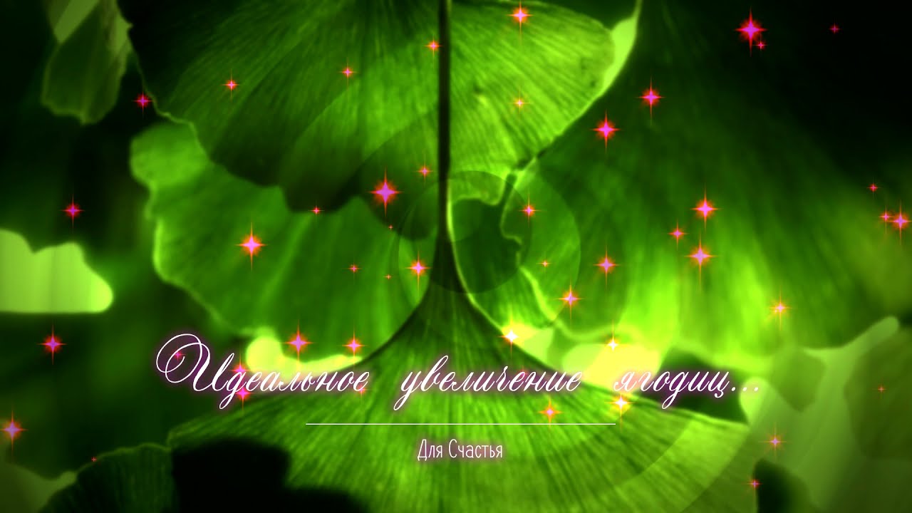 БРАЗИЛЬСКАЯ ПОПА • Красивые Сексуальные Идеальные Большие ягодицы • асмп практика медитация