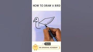 How to draw a Bird 🕊️ #shorts #shortsvideo #short #art