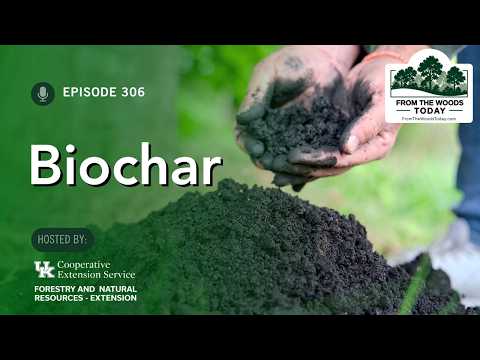 Biochar - From the Woods Today - Episode 306