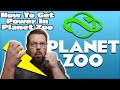 Trucs et astuces rapides et faciles  comment obtenir de lnergie et construire un transformateur dans le didacticiel planet zoo