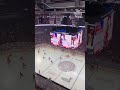 Caufield is shown on the jumbotron and the fans start cheering, they might be warming up too