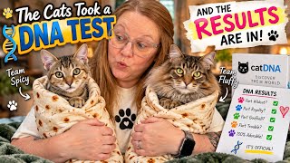 The DNA results are in for Tigger Eugene and Maple Syrup
