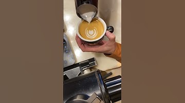 How to make TULIP Latte Art #barista #music #coffee #latteart #tulip