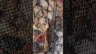 Epic Adventure in the Alps Discover Hidden Gems #TravelVlog #AdventureAwaits