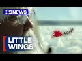 Group of volunteers joined by a special guest in a special time of year | 9 News Australia