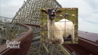 STEEL VENGEANCE but on EVERY AIRTIME MOMENT A GOAT SCREAMS, BUT ITS ON THE REAL POV