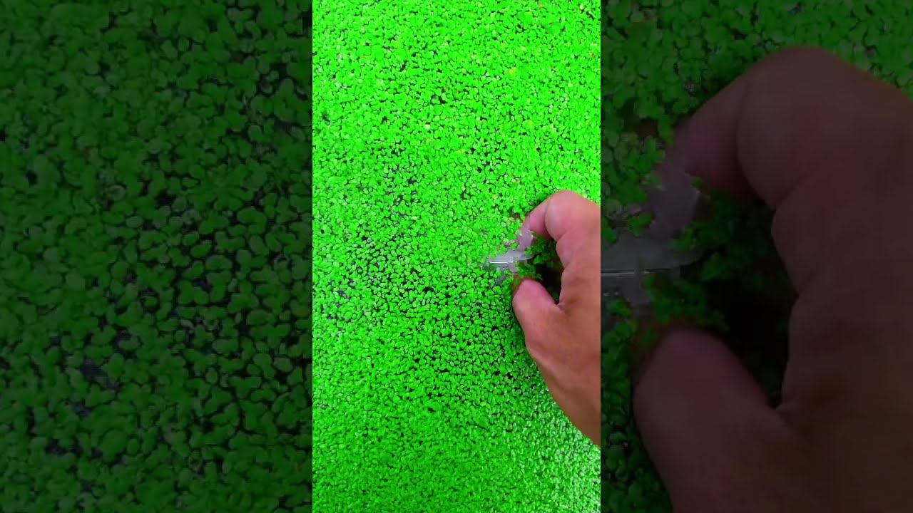 The Beauty Of Nature You Didn T Think It Was That Beautiful Satisfying