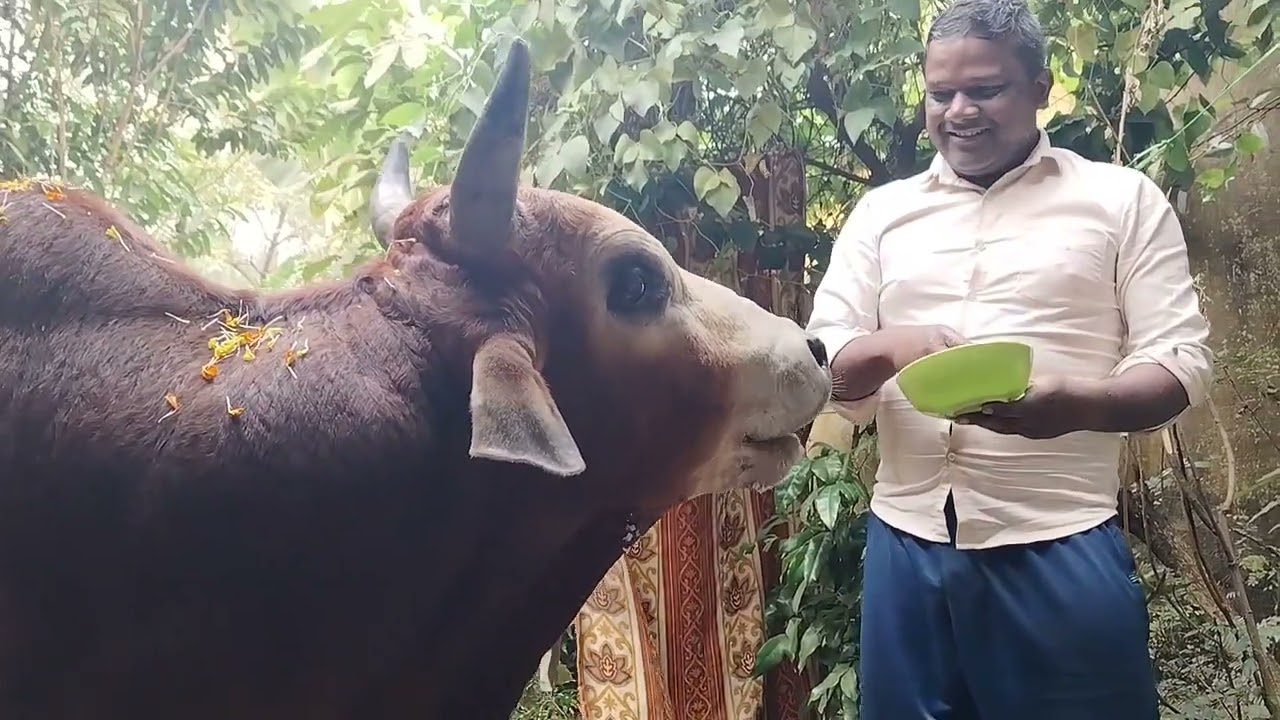 Har Har Mahadev🌺🌺🙏🙏🙏