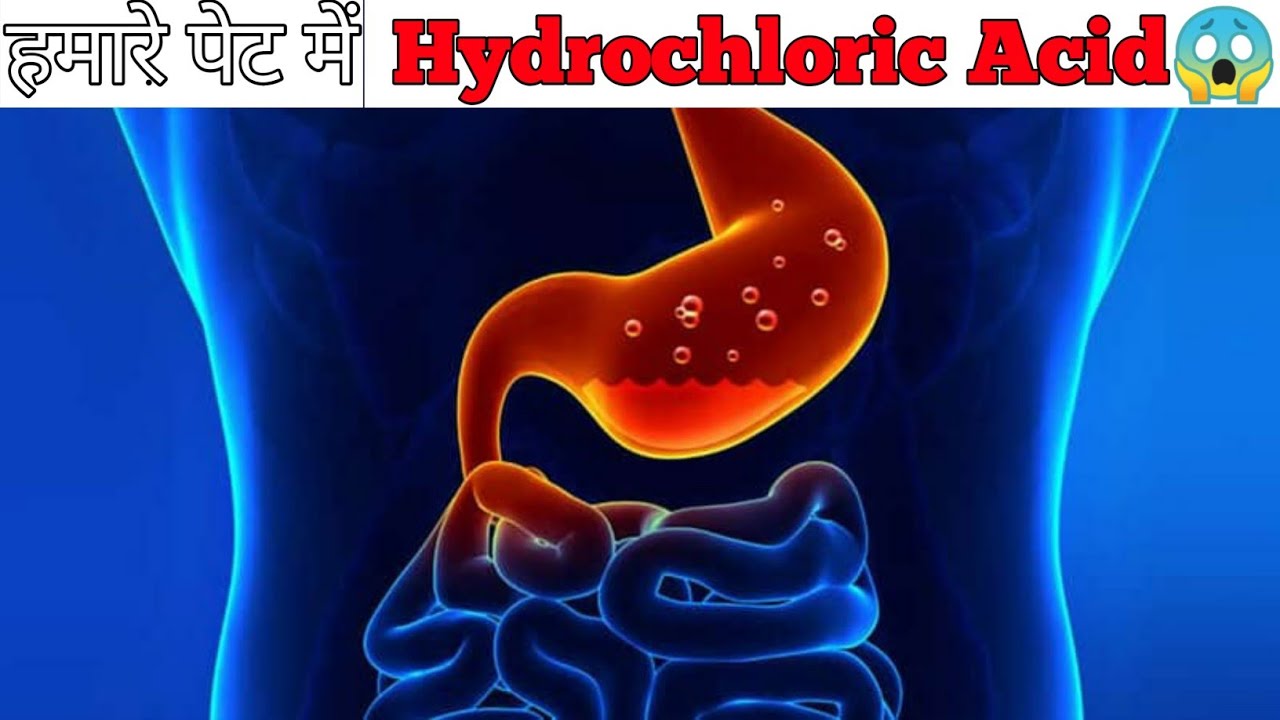 Does our Stomach contain Hydrochloric Acid😱??Kya humare pet me Hydrochloric Acid Hota hai