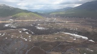 尾瀬で山開き ミズバショウ見ごろ間近