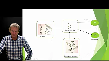 Vilka bakterier tar ciprofloxacin?