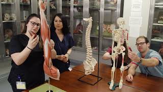 LMU-DeBusk College of Osteopathic Medicine at Orange Park