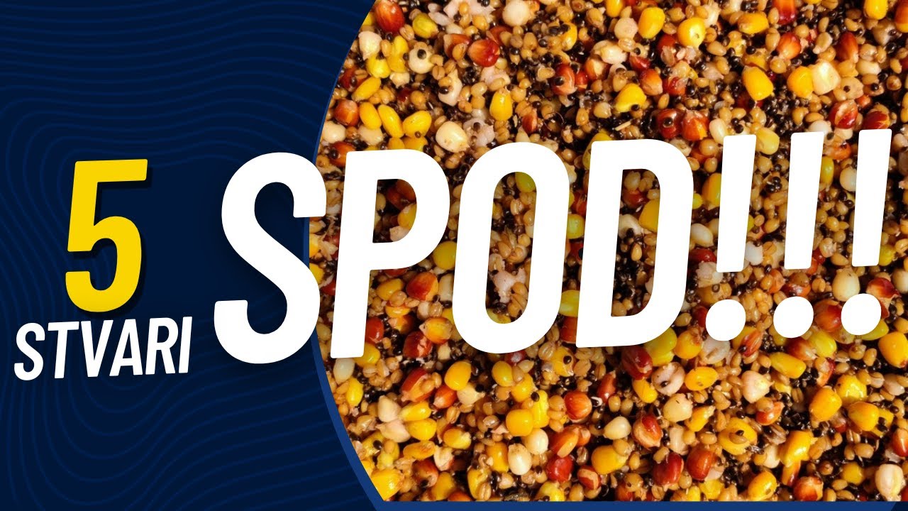 SPOD ZA ŠARANA - 5 bitnih stvari!