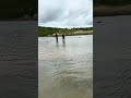 Rc boats