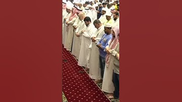 الشيخ توفيق الصايغ - ما تيسر من سورة ق