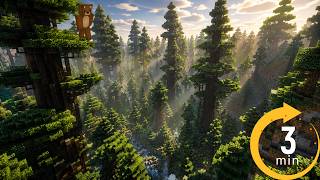 3 Minute Timer (Minecraft) - Fast Forest!