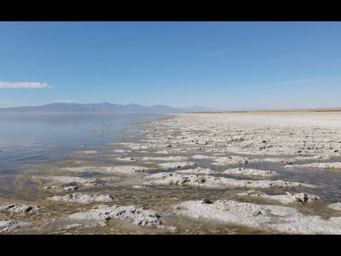 Respiratory Health near the Salton Sea