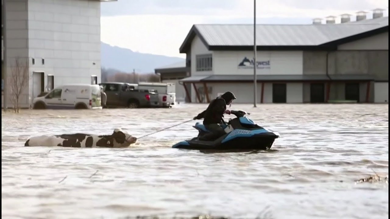 Alberta is stepping up to help British Columbia’s livestock industry