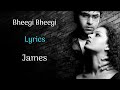 Bheegi bheegi si hai raatein lyrics  gangster  james pritam  na jane koi kaisi hai yeh zindagi