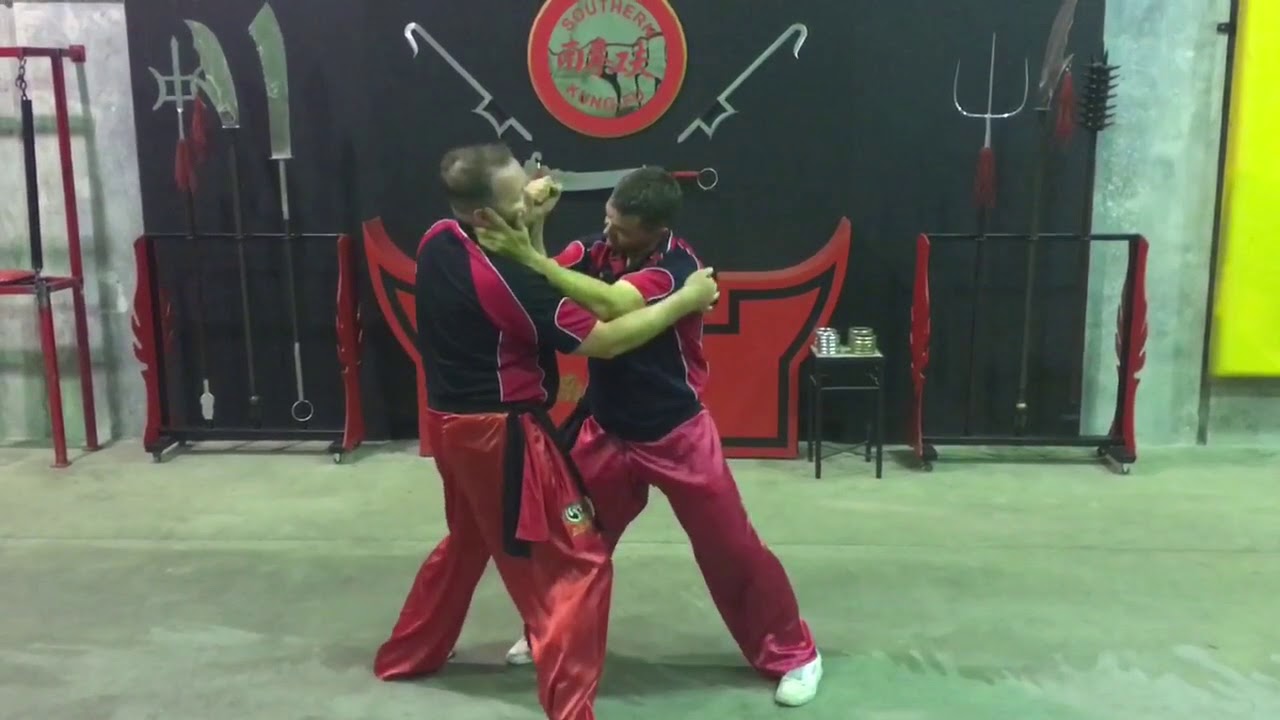 Southern Kung Fu- Fighting Applications