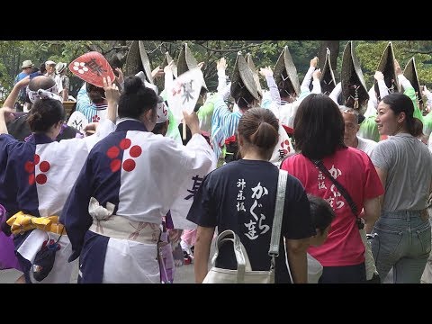 2連合同阿流し踊り「かぐら連・なにがし連」日比谷大江戸まつり2018（2018.6.9）