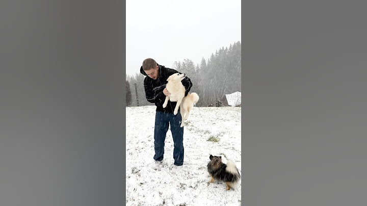 YUKI DÉCOUVRE LA NEIGE POUR LA PREMIÈRE FOIS 🥰🐕