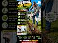 Reach right handle. @ReachRightUSA @SBMowing