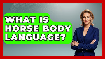 What Is Horse Body Language? - The World of Agriculture