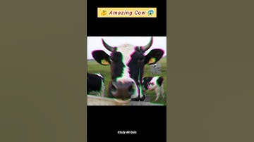 "Mind-Blowing Cow Optical Illusion That Will Trick Your Eyes!" #facts #illusion