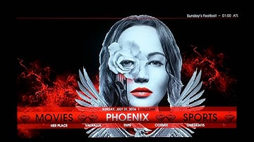 How to update Kodi and Install Wookie Build(s) with FireStopper