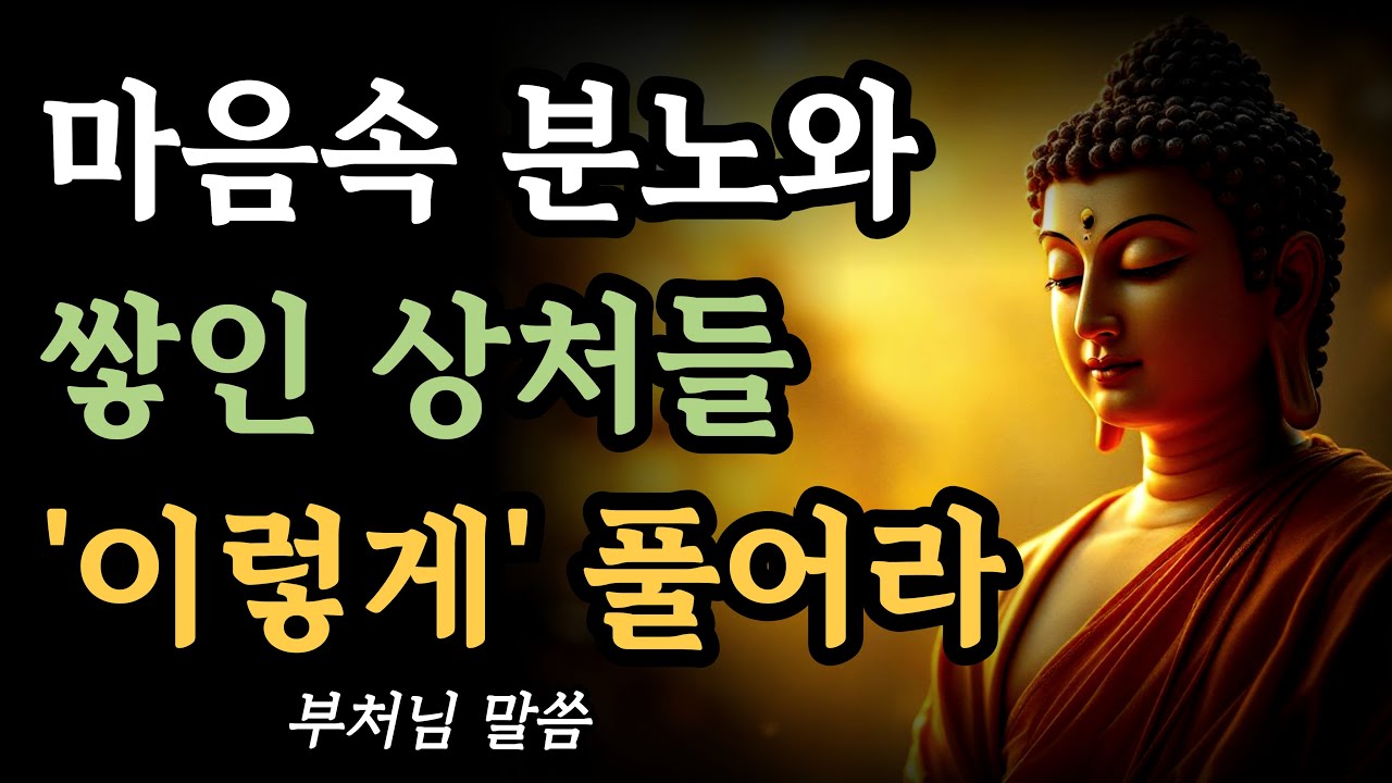 마음속 분노와 상처의 응어리 이렇게 풀어내라ㅣ부처님 말씀ㅣ불교 명언ㅣ석가모니 가르침ㅣ지혜ㅣ명상