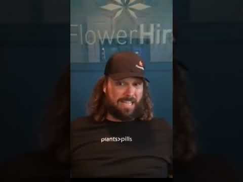 Weed, Wealth, And OnlyFans: The Wildest Crossover Yet