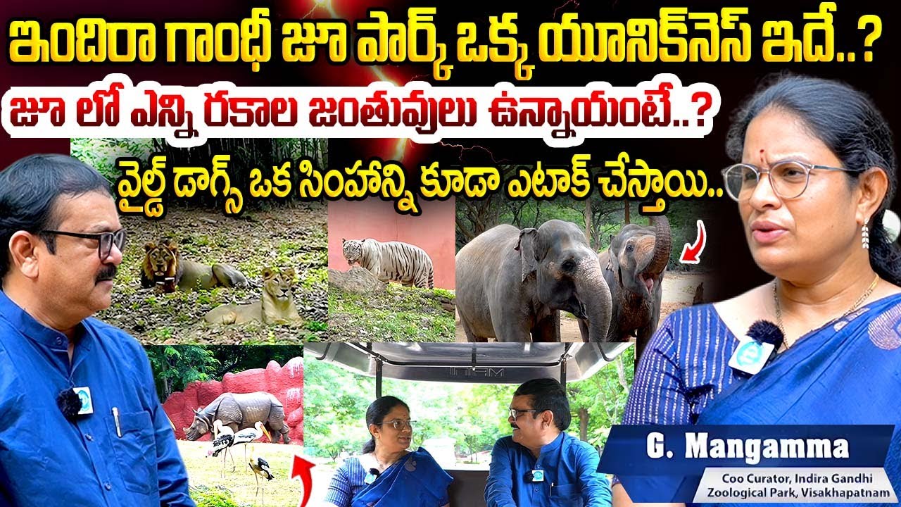 Mangamma forest department Exclusive Interview About Indira Gandhi ZOO PARK Vizag |  iDream