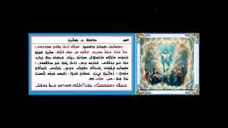 Download Lagu Wasaleaqai D Arouta D Zain D Shleahai MP3