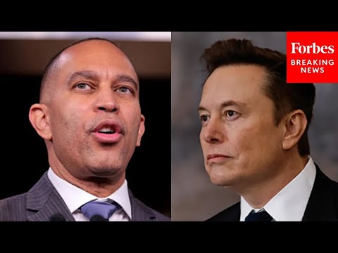 'Democrats Are Hoping' Elon Musk 'Can Be Their Cash Cow' As Tesla CEO Battles Trump: GOP Strategist Episode cover