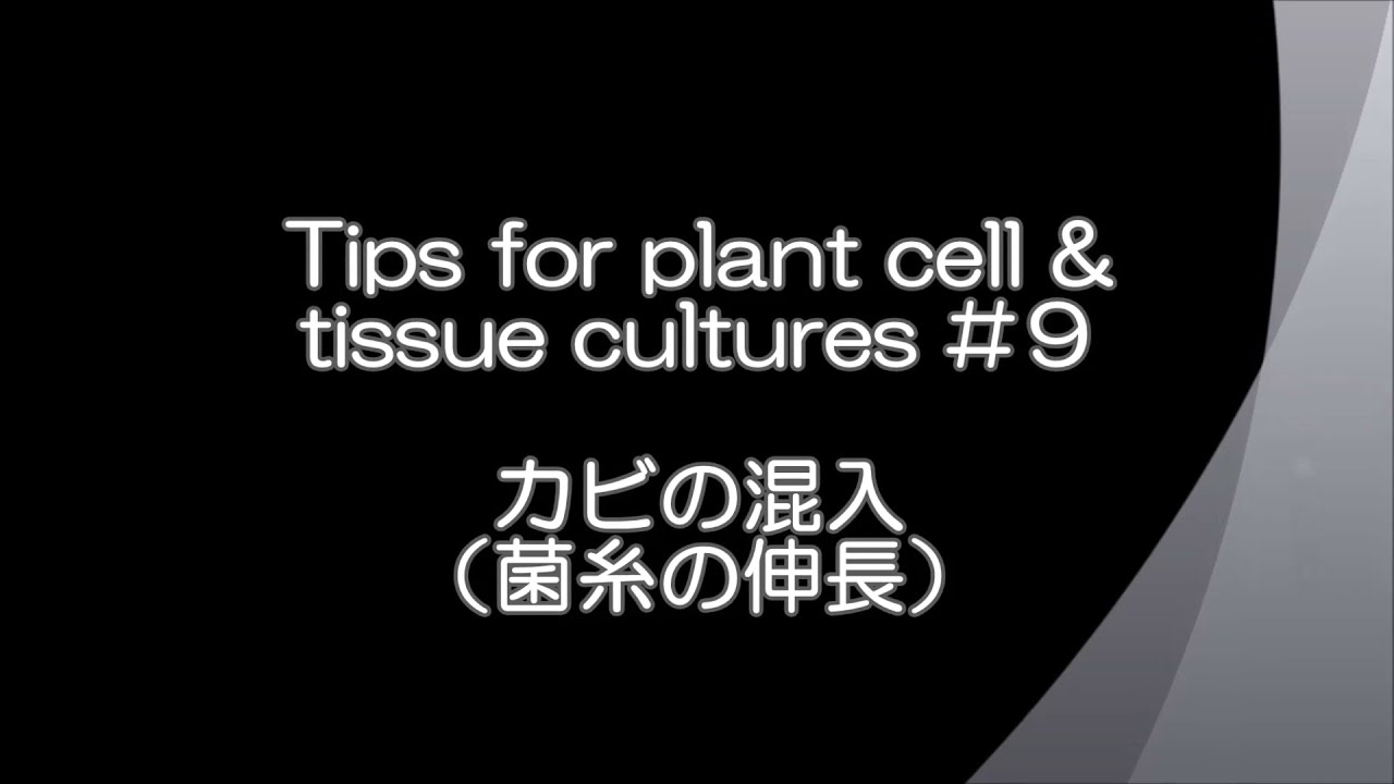 Plant cell & tissue culture tips