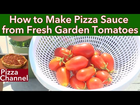 Making Pizza/Pasta Sauce with Fresh Garden Tomatoes