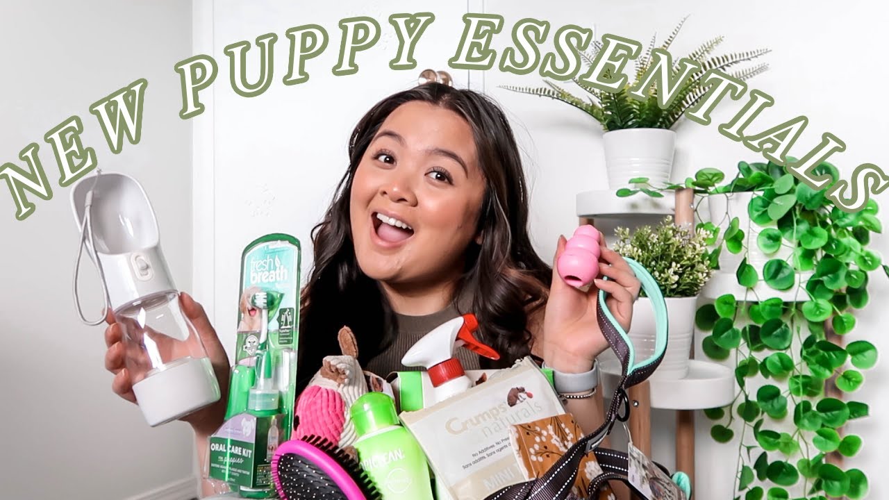 ВСЁ, ЧТО Я ПОДАРИЛА СВОЕМУ НОВОМУ ЩЕНКУ | ВИДЕОБЛОГ О СОБАКАХ