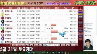 2025 년 5 월 31 일 토요경마예상