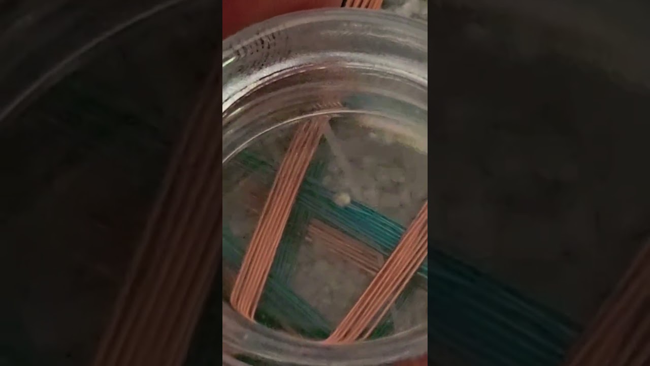 Testing a new Custom order Rodin Coil⚛️🎧⚛️