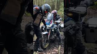 Feel The Team Spirit